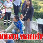 สงสัยรถไม่มีแรง! ถอยหลังร่วงเหวดอยอ่างขาง คนขับดับคาซาก