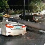 ฝนถล่มสัตหีบ ซัดต้นตาลยักษ์โค่น ทับเก๋ง พังยับทั้งคัน เจ้าของสุดช็อก!