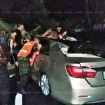 ฝนถล่มสัตหีบ ซัดต้นตาลยักษ์โค่น ทับเก๋ง พังยับทั้งคัน เจ้าของสุดช็อก!
