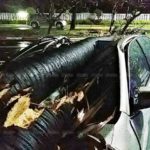 ฝนถล่มสัตหีบ ซัดต้นตาลยักษ์โค่น ทับเก๋ง พังยับทั้งคัน เจ้าของสุดช็อก!
