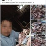ซ่อนพ้นตา แต่ไม่พ้นปลวก สาวหัวใจสลาย เปิดกล่องเงินที่แอบไว้ เหลือแต่เศษกระดาษ!