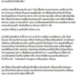 พิษขยะกระทง! ปลาตายเกลื่อนสระ ม.เกษตรฯ ชี้ไม่ว่าจะใช้อะไร ปล่อยพ้นมือไป มันคือขยะ