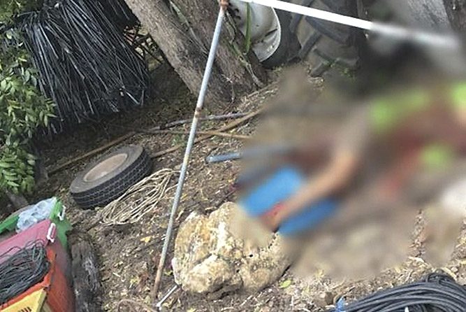 หนุ่มคลั่งยา ฆ่าน้องชาร์ป-เด็กกตัญญู 
