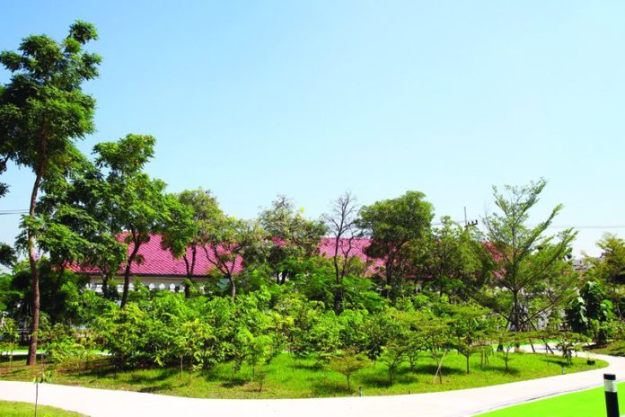 ‘โตโยต้า เมืองสีเขียว’อยุธยา‘เพื่อธรรมชาติ เพื่อทุกชีวิต’