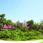 ‘โตโยต้า เมืองสีเขียว’ อยุธยา ‘เพื่อธรรมชาติ เพื่อทุกชีวิต’