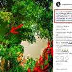 ขนลุก เซียนหวย ซูม ใกล้ๆ หลัง ปู่พญานาค หนุ่มดวงเฮง30ล้าน เห็น เลขเด็ด ชัดขนาดนี้