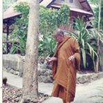 หลวงปู่ลี กุสลธโร วัดภูผาแดง ศิษย์เอกหลวงตามหาบัว ละสังขารอย่างสงบ