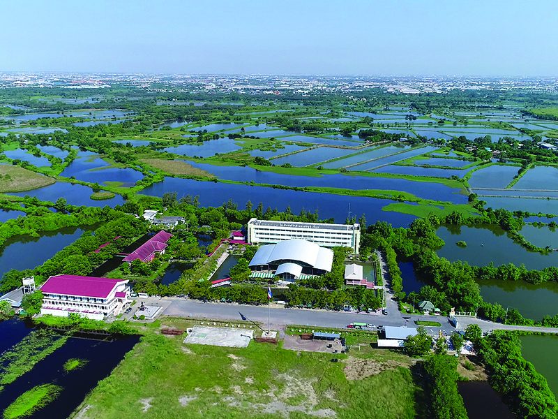 สดจากเยาวชน : สัตว์นักล่าน่ารัก นากน้อยบางขุนเทียน