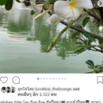 ทูลกระหม่อมฯ ประทานพรปีใหม่ 2019 ร่วมใจกันเดินไปข้างหน้าอย่าถอยหลัง