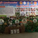ปีใหม่ : เที่ยวไทยปีกุน ฝากความหวังคนไทยช่วยชาติ