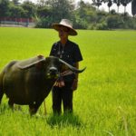 ปีใหม่ : เที่ยวไทยปีกุน ฝากความหวังคนไทยช่วยชาติ