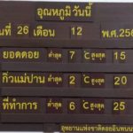หนาวต่อไม่รอแล้วนะ! เหมยขาบขาวโพลนดอยอินทนนท์-กิ่วแม่ปาน เย็นจัด 2องศา