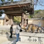 หลงรัก‘คิวชู’แบบไม่รู้ตัว ตื่นตาบ่อนรก-อบทรายร้อน