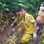 ชาย 35 กลัวตร.จับ หนีซุกป่าข้างบ้าน หายไป 3 วัน ดับปริศนา ถูกสัตว์กัดกินทั่วร่าง