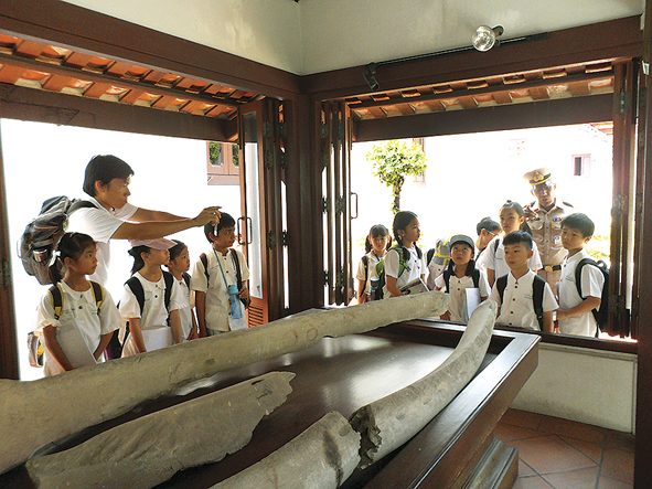 ชมพระราชวังเดิม 250 ปี