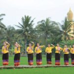 ทุ่งนาบ้านฆ้องน้อย เสน่ห์นวัตวิถีชุมชน : หลากหลาย