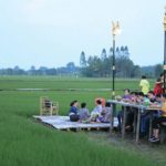 ทุ่งนาบ้านฆ้องน้อย เสน่ห์นวัตวิถีชุมชน : หลากหลาย