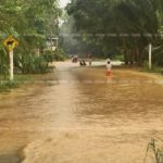 สุราษฎร์อ่วม! น้ำท่วม 7 อำเภอ หลังฝนถล่มหนัก เดือดร้อนกว่า 3 พันครัวเรือน