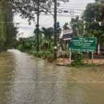 สุราษฎร์อ่วม! น้ำท่วม 7 อำเภอ หลังฝนถล่มหนัก เดือดร้อนกว่า 3 พันครัวเรือน