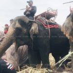 เปิดภาพภารกิจ! กู้หนูน้อย 2 ขวบในป่าอ้อย 9 วันเต็ม ก่อนพบร่างไร้ลมหายใจ