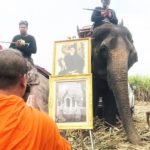 ลุยป่าอ้อยแล้ว! ช้าง 4 เชือกช่วยค้นหาเด็ก 2 ขวบหายตัวลึกลับวันที่ 7 (คลิป)