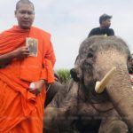 ลุยป่าอ้อยแล้ว! ช้าง 4 เชือกช่วยค้นหาเด็ก 2 ขวบหายตัวลึกลับวันที่ 7 (คลิป)