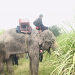 เปิดภาพภารกิจ! กู้หนูน้อย 2 ขวบในป่าอ้อย 9 วันเต็ม ก่อนพบร่างไร้ลมหายใจ