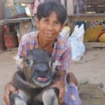 แห่ให้กำลังใจ น้องควาย ไร้หาง ไม่มีรูทวาร ชาวบ้านวอนปศุสัตว์เข้าช่วยเหลือ