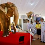 นายกฯ นำทำบุญตักบาตร วันพ่อแห่งชาติ เปิดนิทรรศการพระบิดาแห่งศาสตร์ 9 แขนง