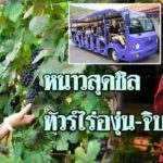 หนาวนี้ที่ กราน-มอนเต้ ทัวร์ไร่องุ่นเขาใหญ่-จิบไวน์เคล้าเสียงเพลง