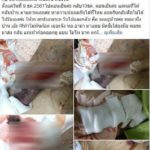 หลานสาว เล่าประสบการณ์ ฝากอาม่า อายุ 91 ไว้ที่ ศูนย์ดูแล 1 วัน ได้แผลมาทั้งตัว