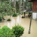 น้ำป่าทุ่งสง หลากถึง อ.รัษฎา 200 ครัวเรือนระทึก ตรังเตือนชาวบ้านริมแม่น้ำ