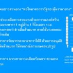 ซูเปอร์โพล เผยชาวสวนยางพอใจรัฐ กระตุ้นราคายางพารา บรรเทาความเดือดร้อน
