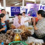 เพื่อไทย เปิดตัว ส.ส.หน้าใหม่ จ.ลพบุรี ลงแข่งรุ่นเก๋า ที่ถูกดูดไปอยู่พรรคอื่น