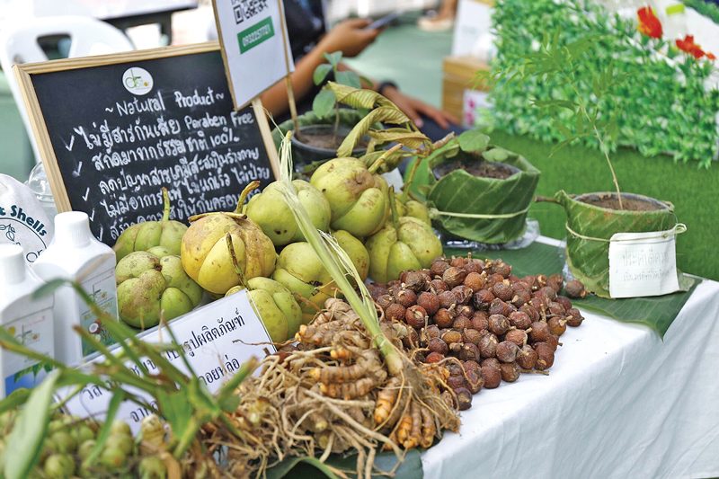 ลดใช้ยาต้านแบคทีเรีย