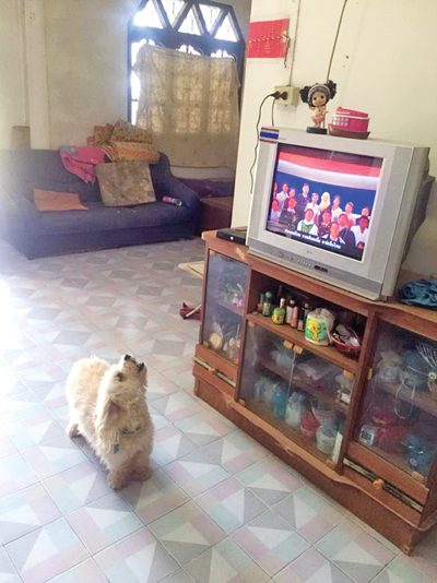 ฮา-แปลก-แอบหลอน ทั่วภูมิภาคในรอบปี 