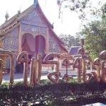 แห่ส่องเลขเด็ด! บาตรน้ำมนต์ พิธีสืบชะตา สมภารวัดดัง อันซีนเมืองพะเยา