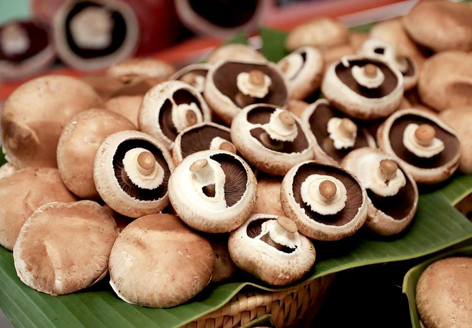 เยือนถึงถิ่น-ชวนช้อป 10 ซูเปอร์ฟู้ดโครงการหลวง