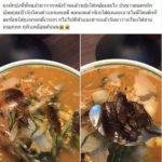 สาวสุดช็อก สั่งสุกี้หมู เห็นหนวดนึกว่ากุ้ง ที่แท้ได้แมลงสาบ ชาวเน็ตกระหน่ำจับผิด!