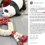 ไม่ชอบรถบัส? แฟนบอลไม่ทน แห่คอมเมนท์ขอ ซิโก้ กลับมาคุมทีมชาติไทย