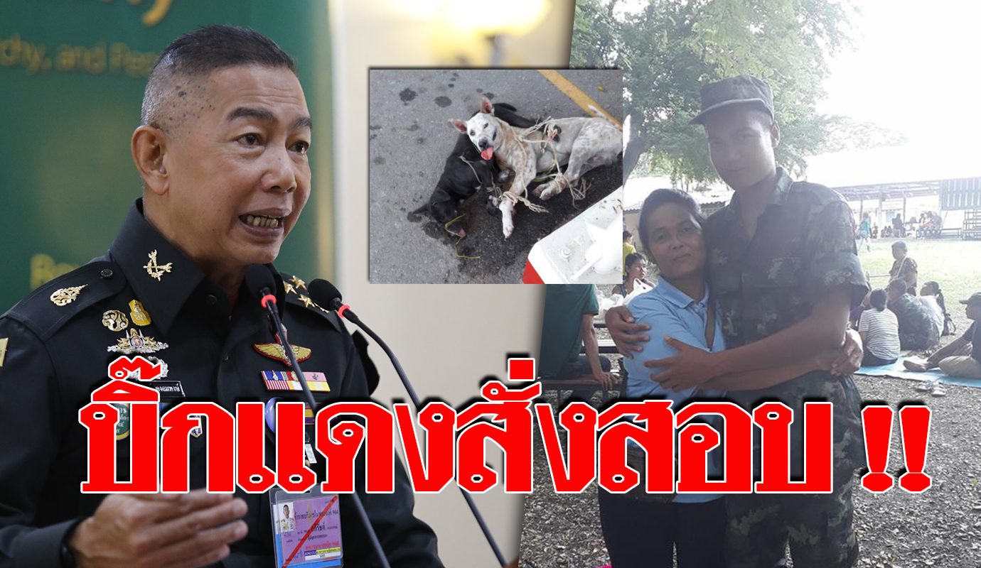 เร องไม จบ บ กแดง ส งสอบ จ บหมาม ดตากแดด ช ทำ - เร องไม จบ บ กแดง ส งสอบ จ บหมาม ดตากแดด ช ทำ จ บมน ษย หมาป ามาตากแดด ส ดท ายกลายเป นคนน roblox youtube เร องไม จบ บ กแดง ส งสอบ จ บหมาม ดตากแดด ช ทำ - จ บมน ษย หมาป ามาตากแดด ส ดท ายกลายเป นคนน roblox youtube