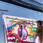 โซเชียลแห่แชร์! เจ้าของจัดโต๊ะจีน ต้อนรับหมาสุดรัก กลับบ้าน หลังหายไป 5 วัน