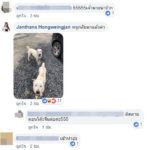 โซเชียลแห่แชร์! เจ้าของจัดโต๊ะจีน ต้อนรับหมาสุดรัก กลับบ้าน หลังหายไป 5 วัน