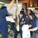 สาวผงะ! ไอ้หลามตัวเบ้อเร่อ เลื้อยซุกใต้ท้องพันล้อรัดแน่นเก๋งใหม่ป้ายแดง(คลิป)