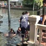 ป้าสุดช็อก! หนูน้อย 7ขวบ ให้อาหารปลา ลื่นตะไคร่น้ำจมคลองบางหลวงดับสลด