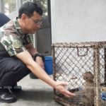 ยื้อลมหายใจ! ลิงแสม รอดชีวิตตัวเดียว เหตุสังหารโหดครอบครัวตายหมด
