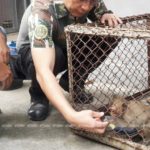 ยื้อลมหายใจ! ลิงแสม รอดชีวิตตัวเดียว เหตุสังหารโหดครอบครัวตายหมด