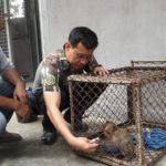 ยื้อลมหายใจ! ลิงแสม รอดชีวิตตัวเดียว เหตุสังหารโหดครอบครัวตายหมด