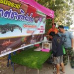 หนุ่มอ่างทอง ออกจากงานเทศบาล หันมาขาย จระเข้เสียบไม้ย่าง หาเงินเลี้ยงครอบครัว