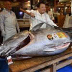 ทุบสถิติเกือบ100ล้าน ปลาทูน่ายักษ์ครีบน้ำเงิน เจ้าของร้านซูชิชนะประมูล